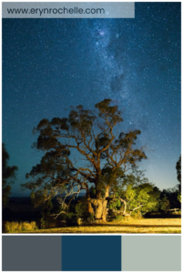 A green leafed tree under a starry sky, showcasing dark slate gray, deep blue, and light gray tones in a serene natural setting.