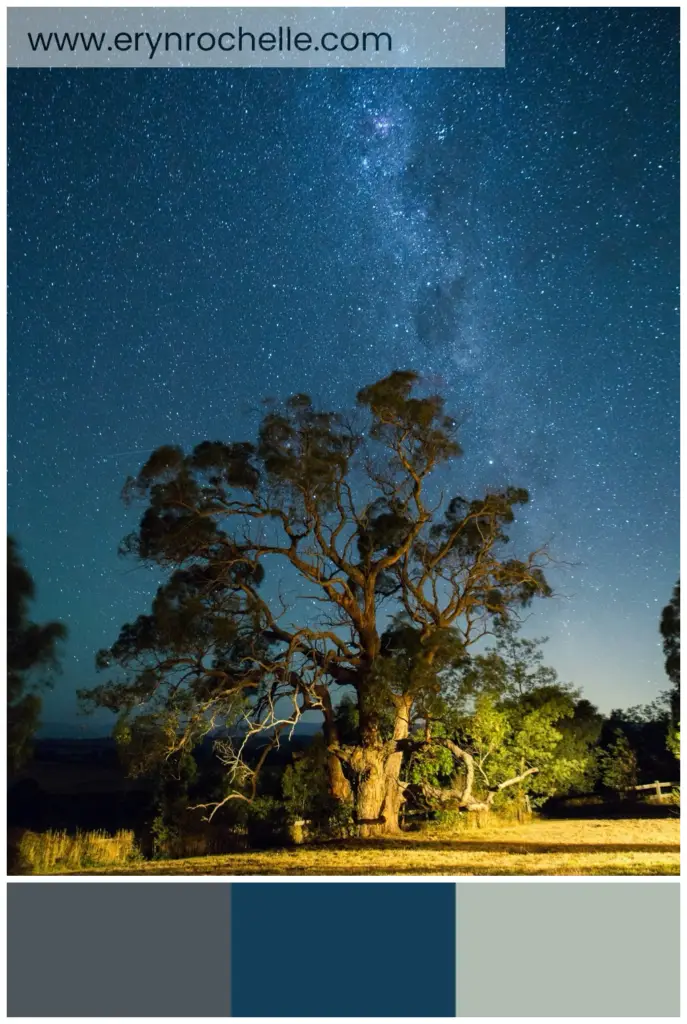A green leafed tree under a starry sky, showcasing dark slate gray, deep blue, and light gray tones in a serene natural setting.