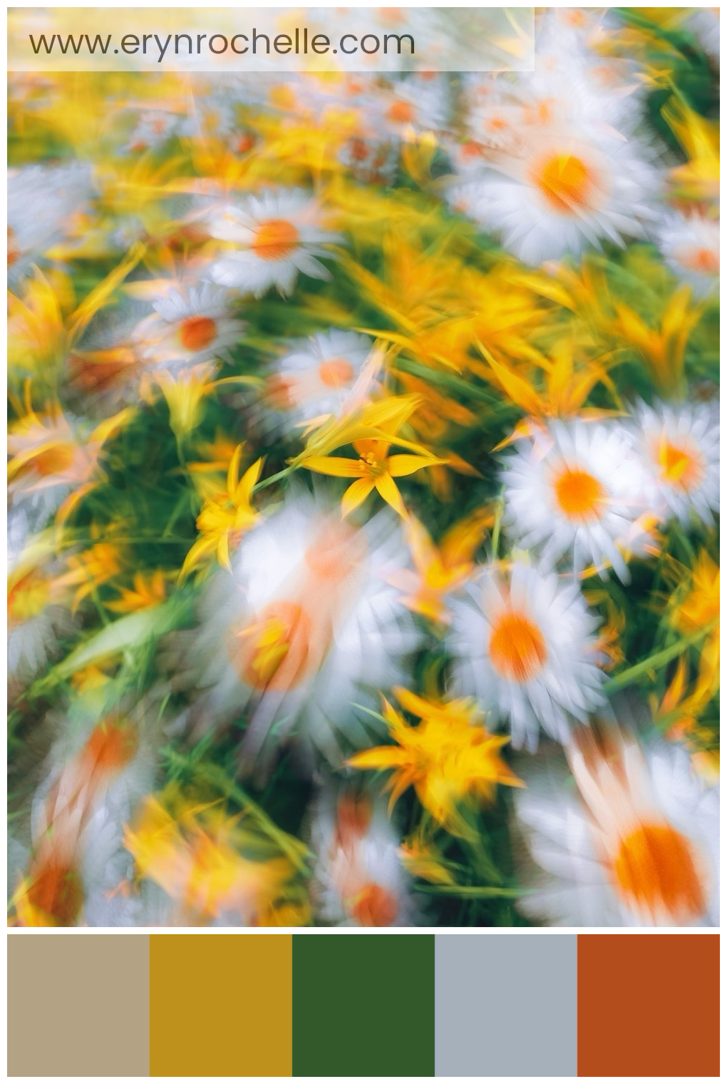 A bunch of colorful flowers nestled in green grass, showcasing the harmonious blend of natural hues.