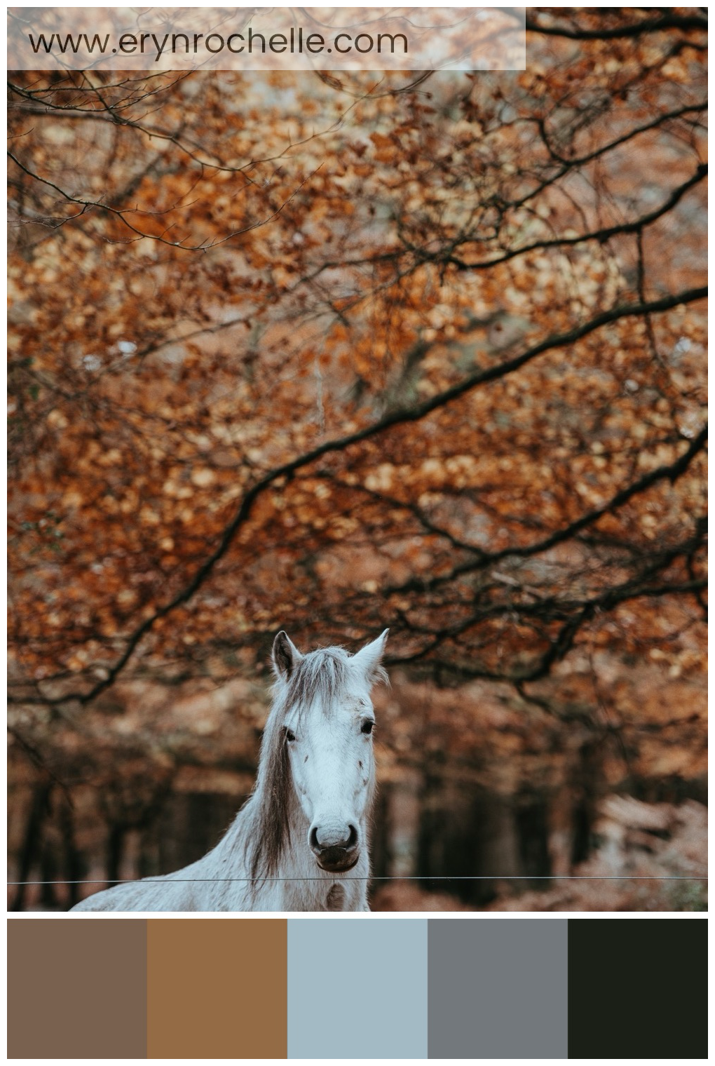 A serene white horse standing in a pasture, with a color palette featuring warm chestnut, golden brown, pale sky blue, cool gray, and deep forest green tones.