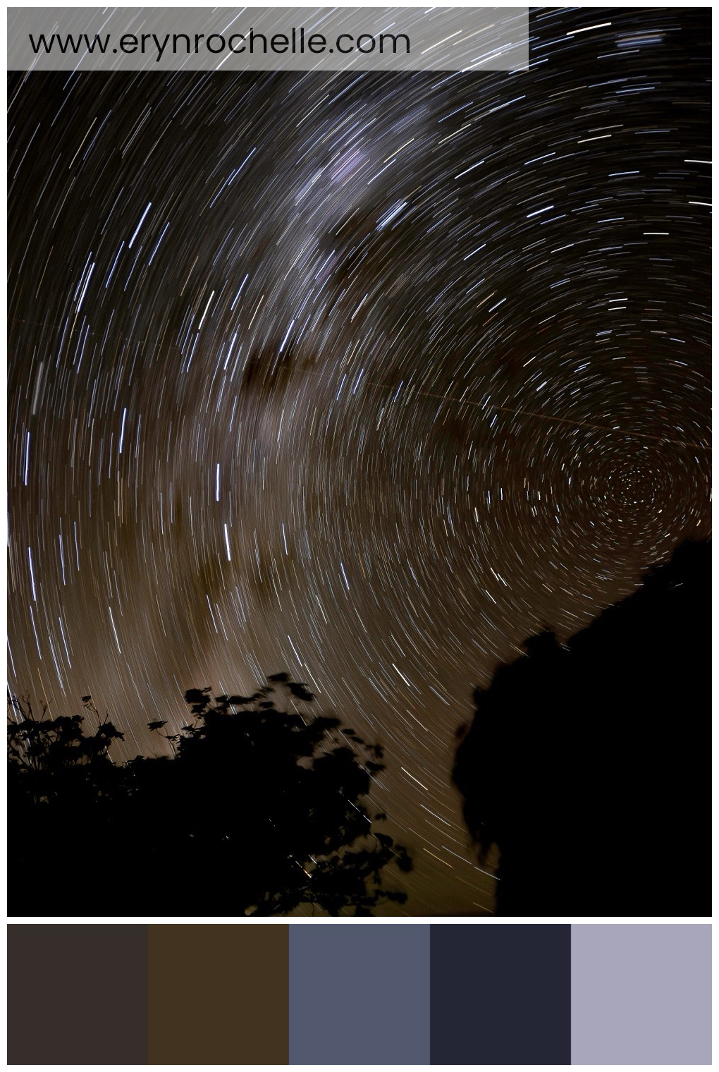 A time-lapse photograph of stars during nighttime, showcasing a palette of deep midnight black, deep umber, twilight blue, shadow blue, and soft moonlight gray tones.