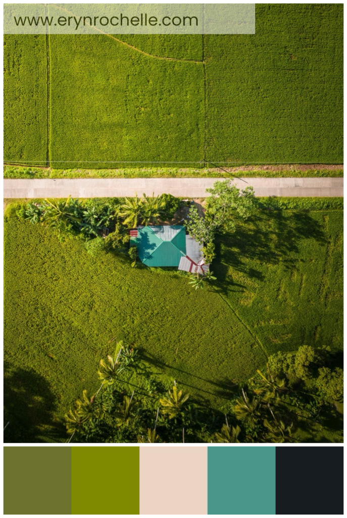 Aerial view of a vibrant green grass field during daytime, featuring a harmonious blend of olive, moss green, soft peach, teal green, and deep charcoal tones.